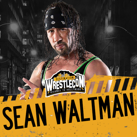 Sean Waltman